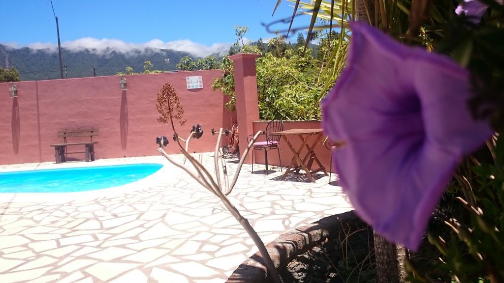 Casitas La Montanita Guest House Ел Пасо Екстериор снимка