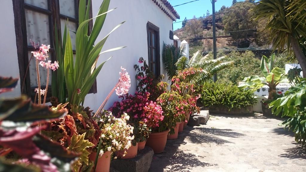 Casitas La Montanita Guest House Ел Пасо Екстериор снимка