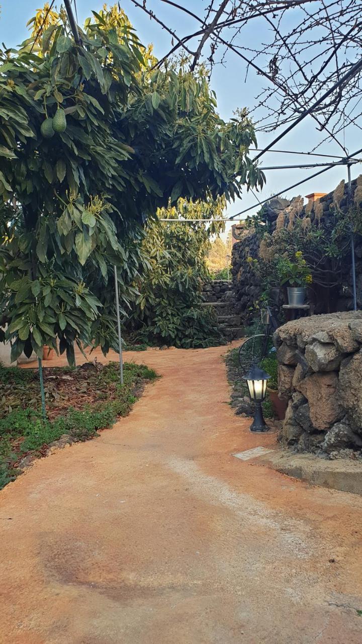 Casitas La Montanita Guest House Ел Пасо Екстериор снимка